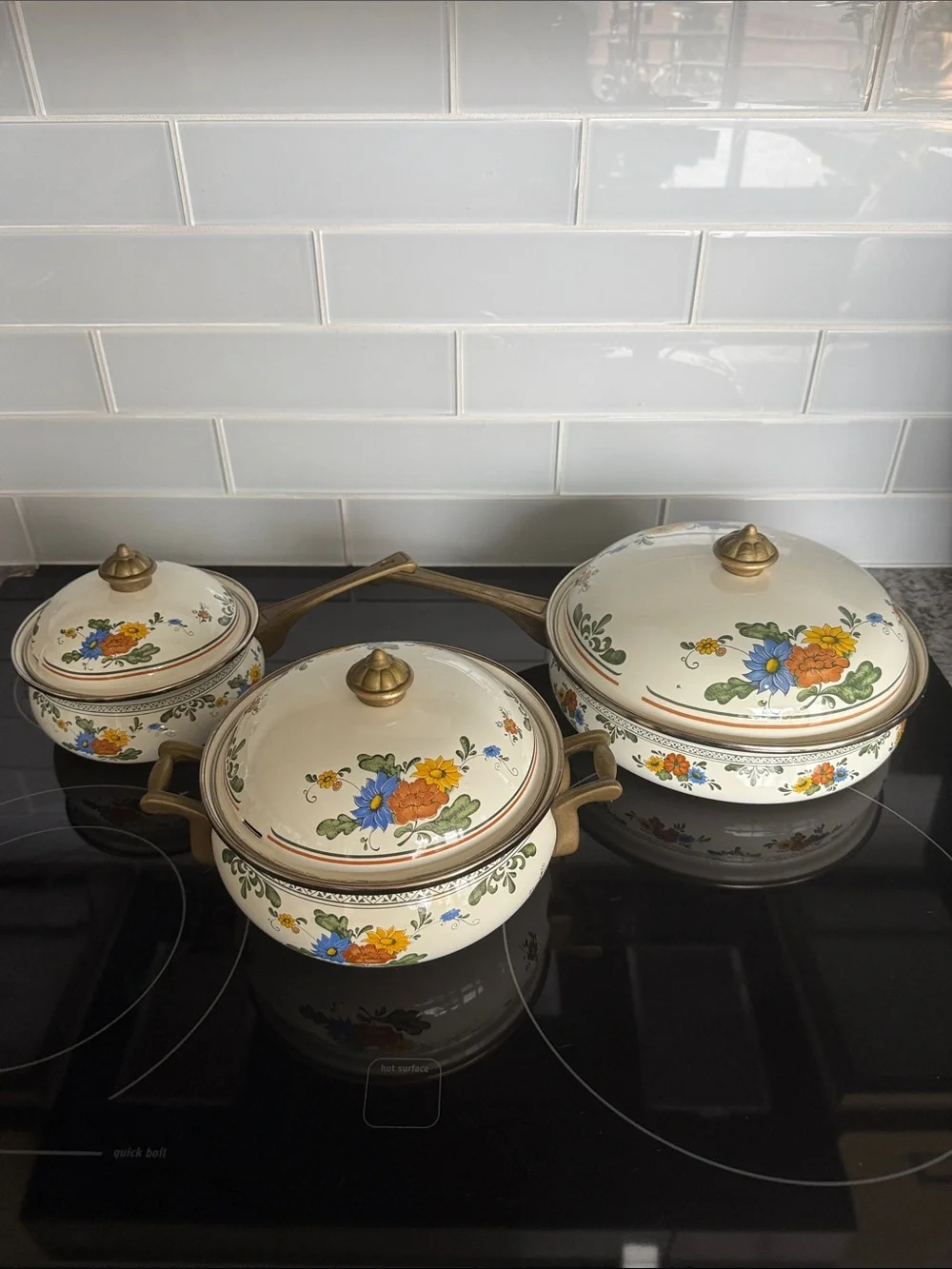 Vintage ASTA Fissler Style Enamelware Cookware Set Floral & Brass 3 Lidded Pots